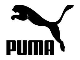 Puma TH