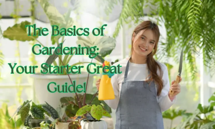 The Basics of Gardening: Your Starter Great Guide!