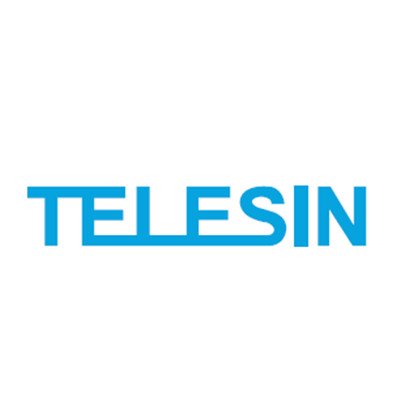 TELESIN Logo