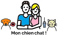 Monchienchat Logo